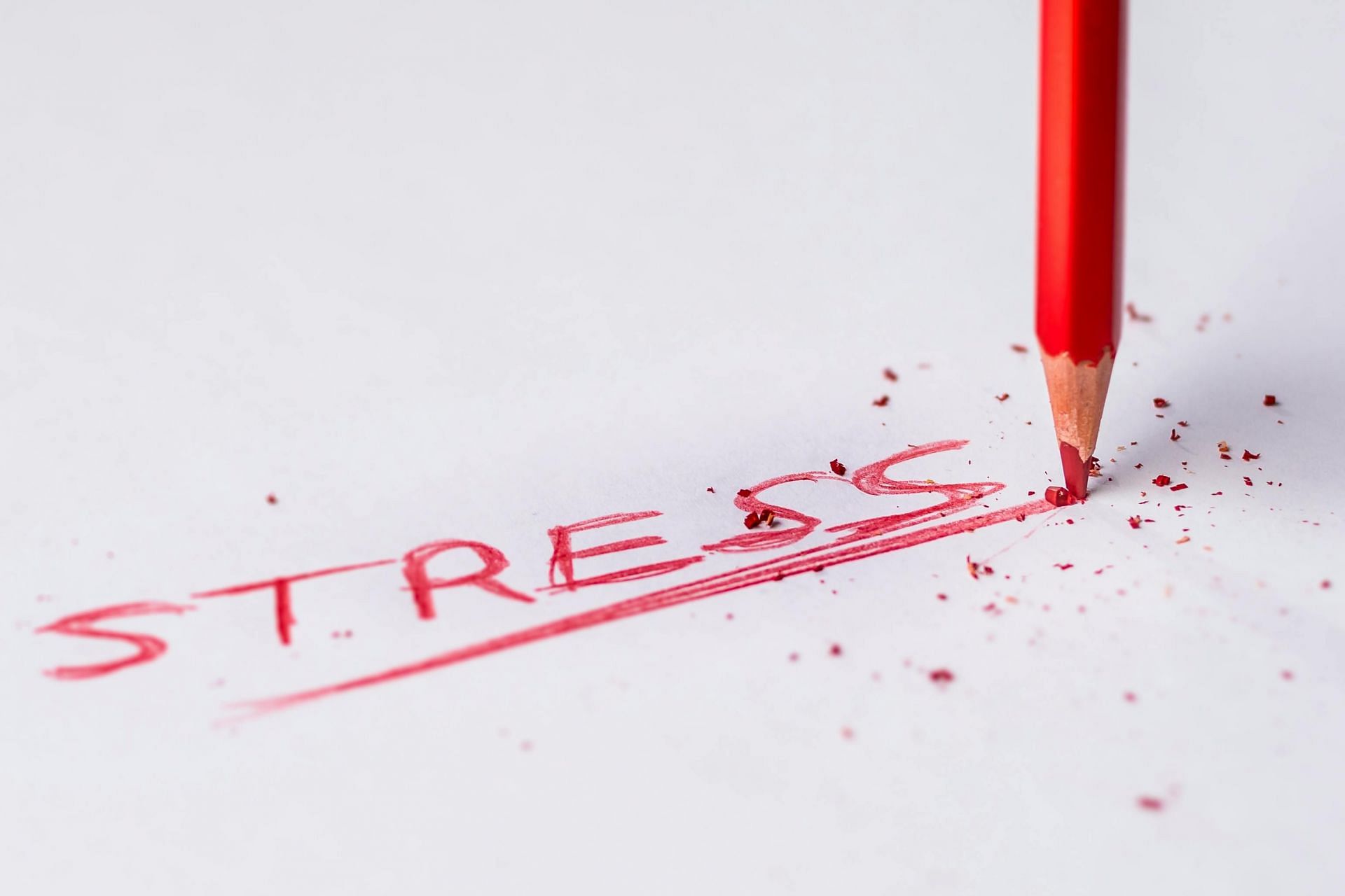 Reasons behind gaining weight fast (image sourced via Pexels / Photo by pedro)
